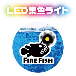 集鱼灯